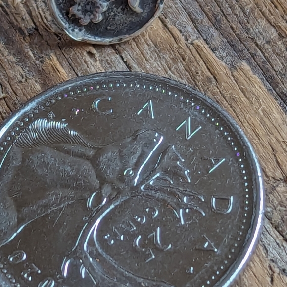 COPY - Pyrrha stud earring - Picture 6 of 6